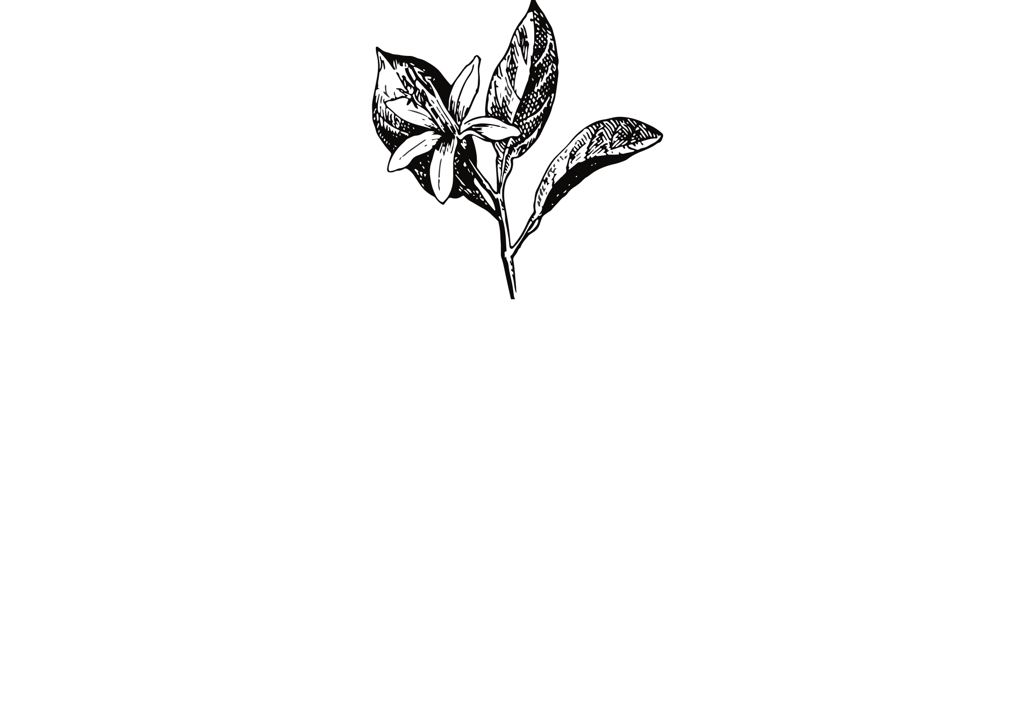 Villa des Orangers